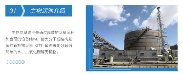 亚洲成片观看四虎永久网站