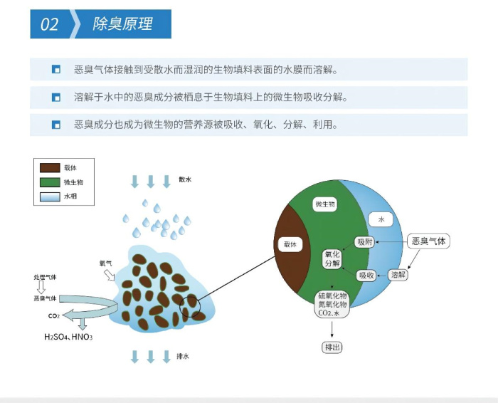 亚洲成片观看四虎永久网站